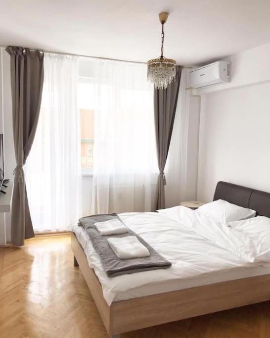 Joy City Stay Victoriei 7E-30 2 蒂米什瓦拉 外观 照片